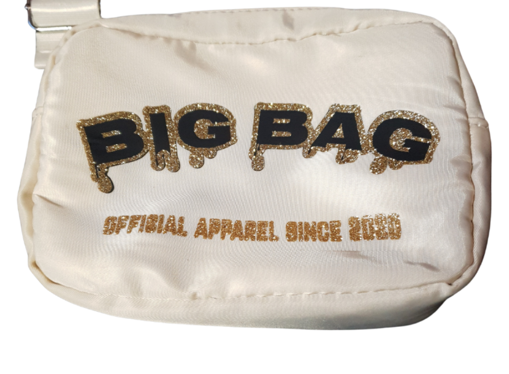 BIG BAG WOMENS POUCH BAG "bank roll"