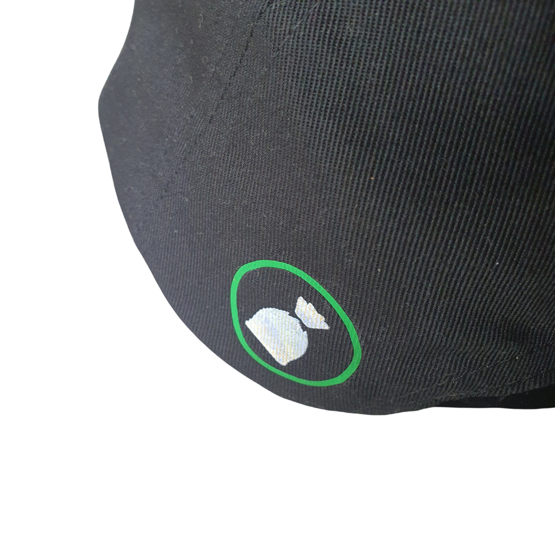 BIG BAG 2 TONE BASEBALL CAP "dollar"